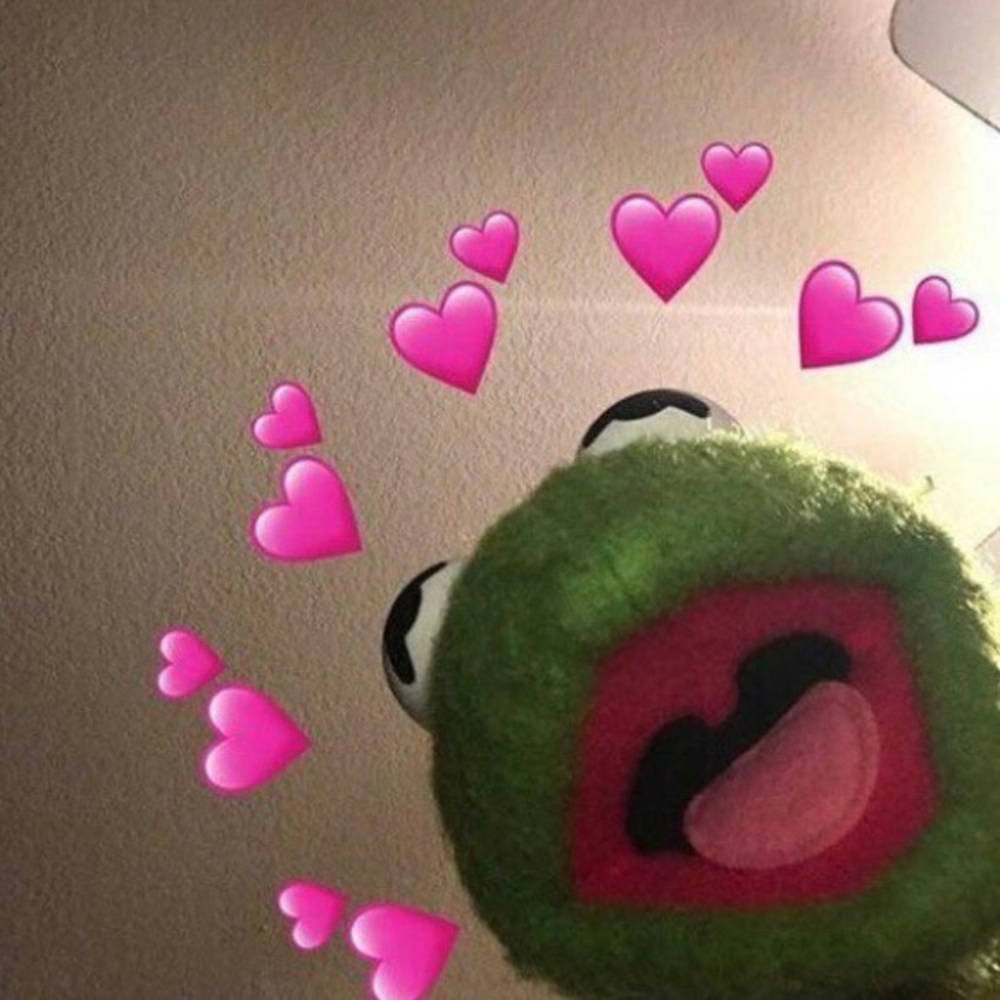 Meet your Posher, Rose